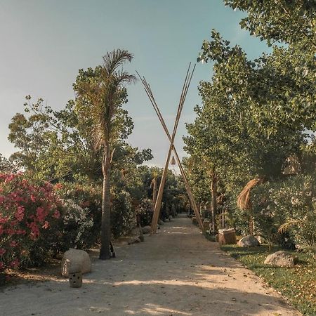 Riva Del Sol Beach Resort 圣卡泰里纳德洛约尼奥 外观 照片
