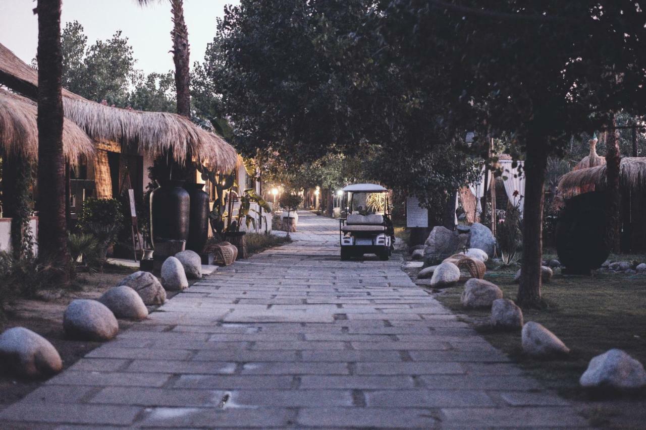 Riva Del Sol Beach Resort 圣卡泰里纳德洛约尼奥 外观 照片